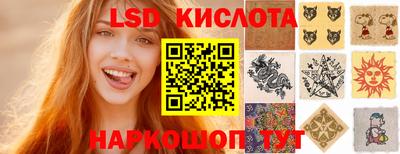 шишки Аргун