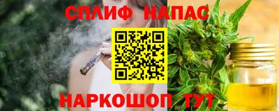 шишки Аргун