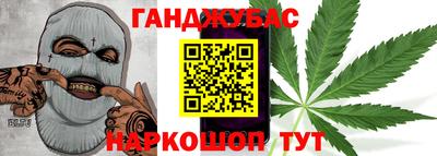 шишки Аргун