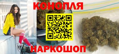 шишки Аргун