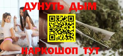 шишки Аргун