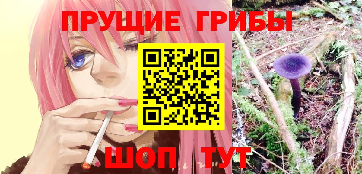 Галлюциногенные грибы мухоморы Анжеро-Судженск