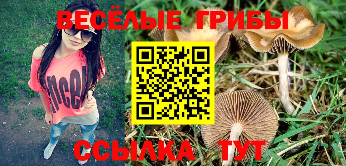 Анжеро-Судженск  Галлюциногенные грибы MAGIC MUSHROOMS  Галлюциногенные грибы MAGIC MUSHROOMS  Вход с VPN 